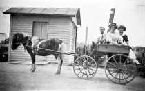 Pony cart at toll booth